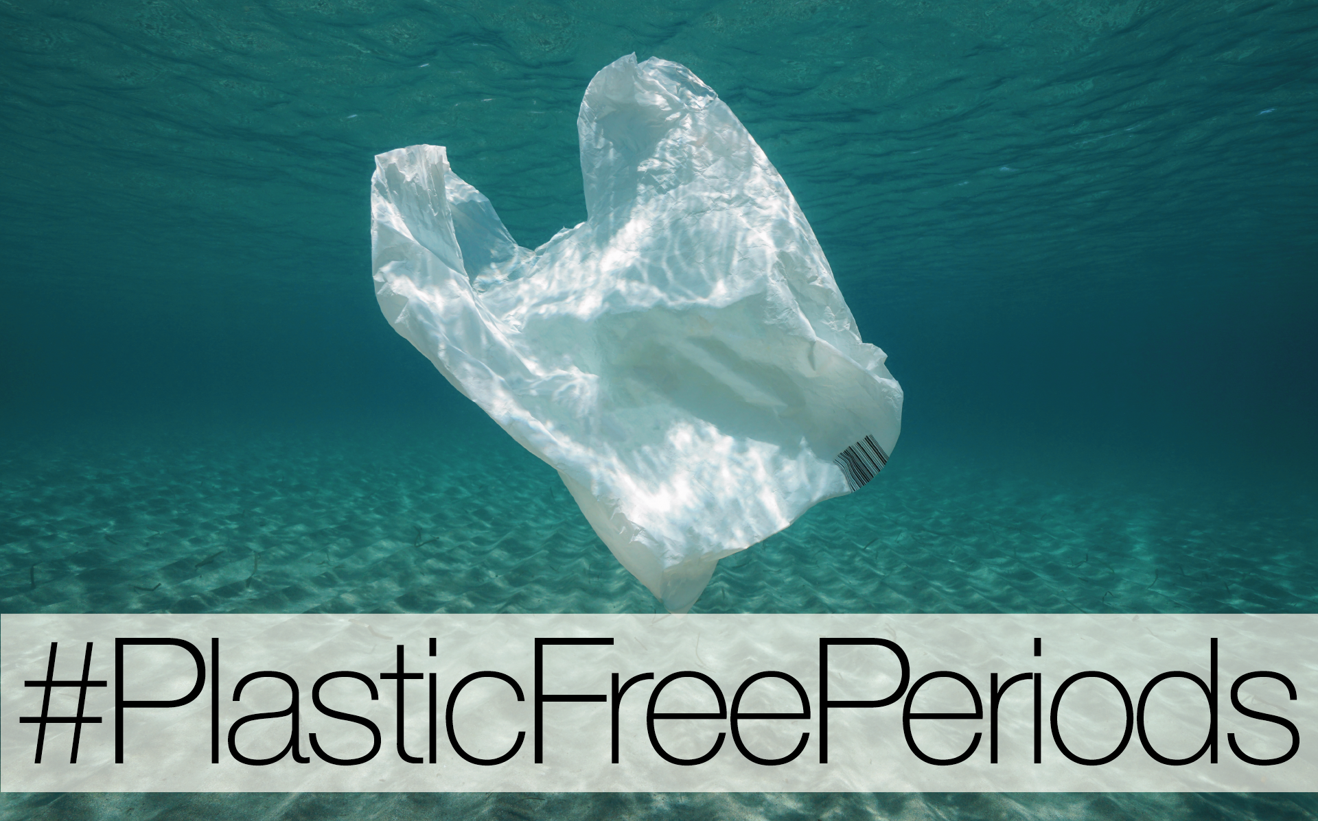 Plastic Free Periods